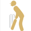 Box Cricket